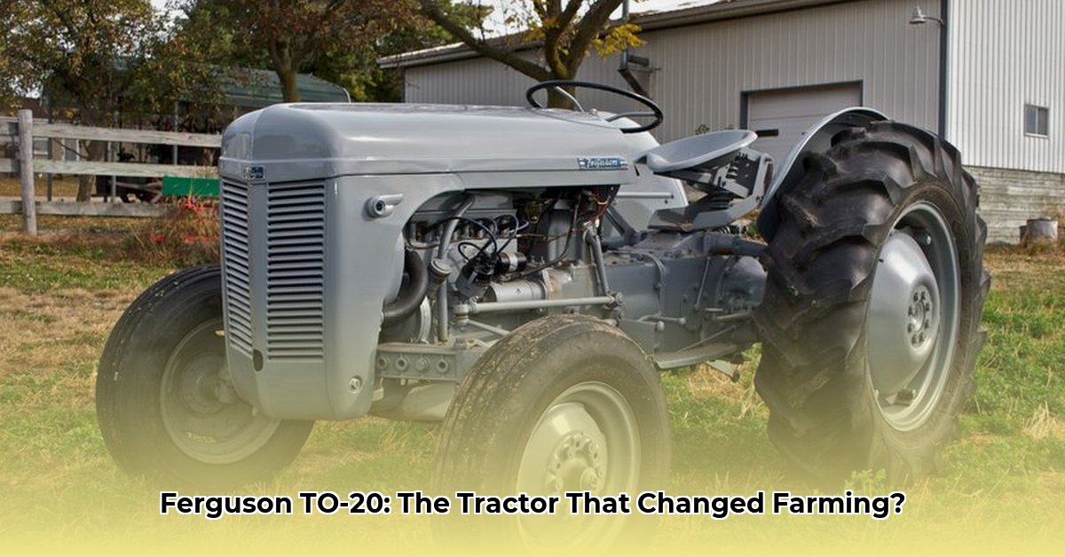 ferguson-tractor-to20